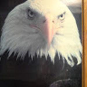 Meet your Posher, Joe